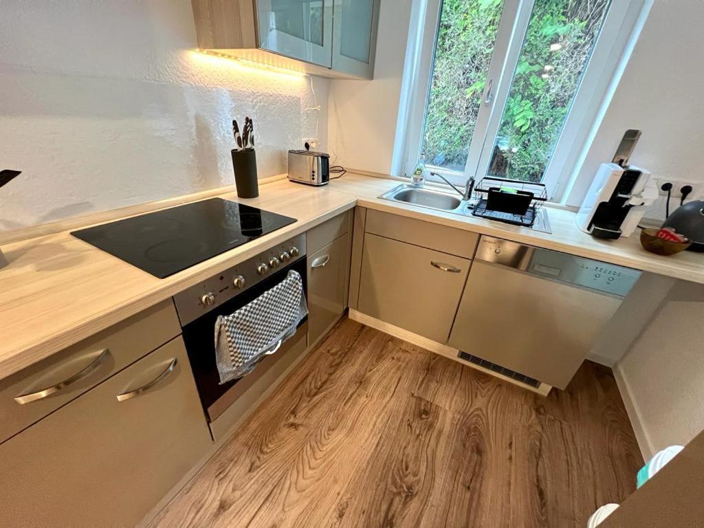 Exklusive Neubauwohnung Mit Wundervoller Aussicht Naehe Europapark Und Rulantica Burgheim Bagian luar foto